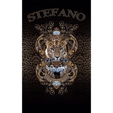 stefano_logo